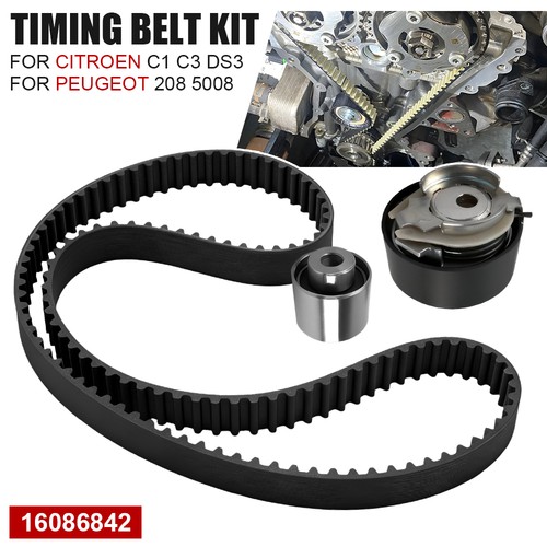 Timing belt kit for - belt,