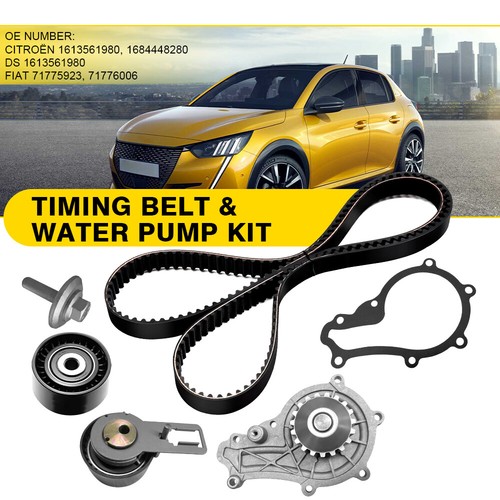 New timing cam - cam, pump