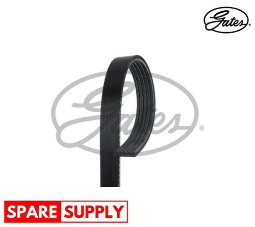 Ribbed belts for citroën - for,