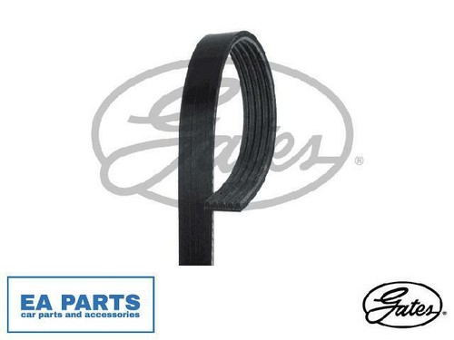 Ribbed belts for citroën - v-ribbed,