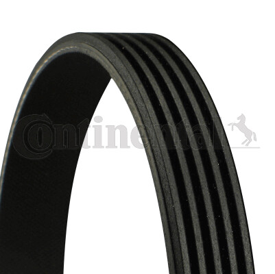New ribbed belt for peugeot - v-ribbed,